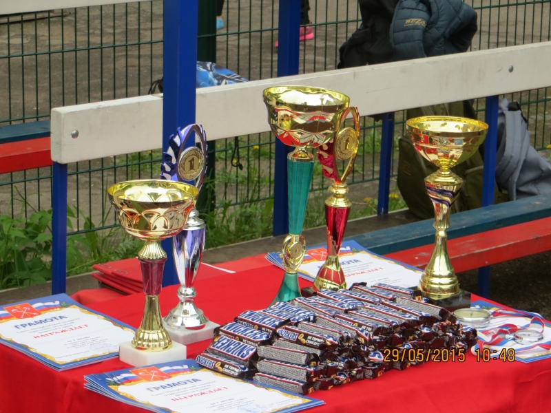 Спортивные достижения школы